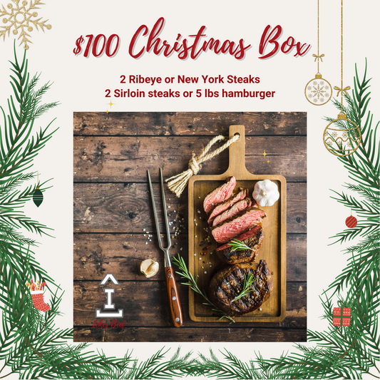 $100 Christmas Box